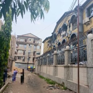 Vente d'un Immeuble Limite 1er rue funa